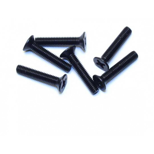 Elektroauto Raum All Path 1/10 Flachkopfschraube M3x14 (6pcs) | Scientific-MHD