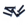 Elektroauto Raum All Path 1/10 Flachkopfschraube M3x14 (6pcs) | Scientific-MHD