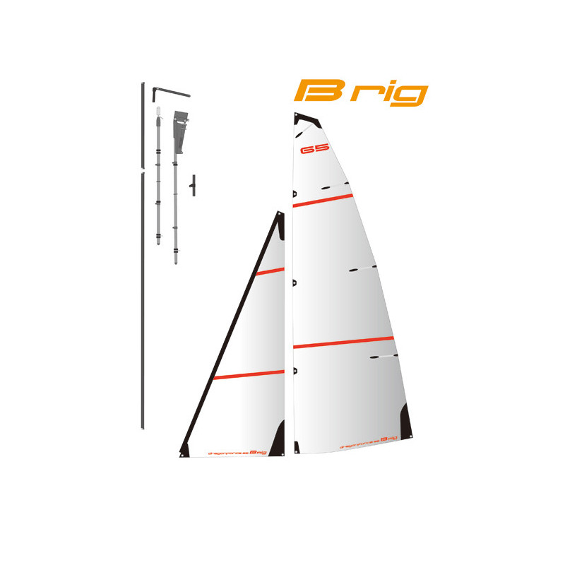 Teil für Radio -kontrollierte Segelbox Segel B in Mylar für DF65 V6 | Scientific-MHD