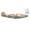 copy of Maquette plastique d'avion P-51B Mustang 1/72 | Scientific-MHD