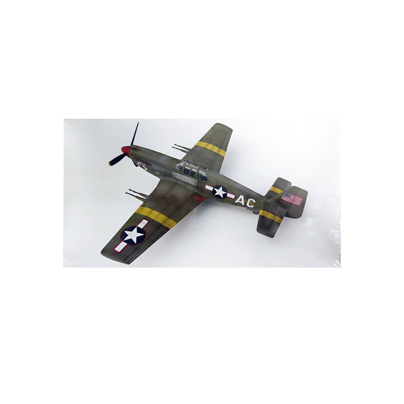 F-6A Kunststoffebene Modell TAC-Recce Fighter 1/48 | Scientific-MHD