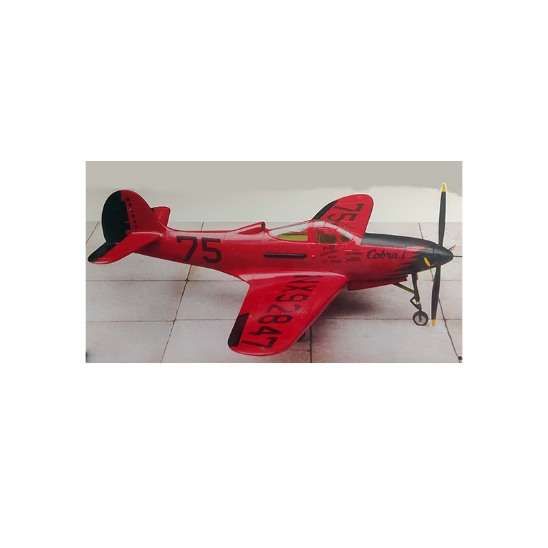 Maquette d'avion en plastique P-39Q Airacobra Skylanes unlimited Race Team 1/48 | Scientific-MHD