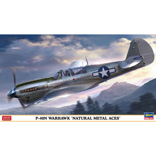 Plastikmodellflugzeug P-40N Warhawk 'Natural Metal Aces' 1:48 Plastikmodellflugzeug P-40N...