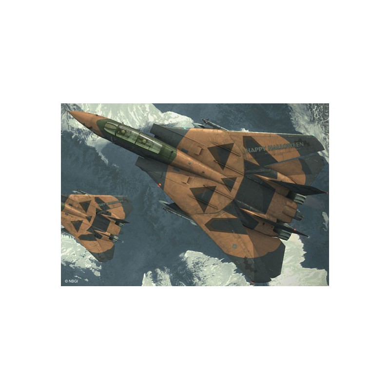 F-14d Kunststoffebene Modell Tomcat Ace 1/72 | Scientific-MHD