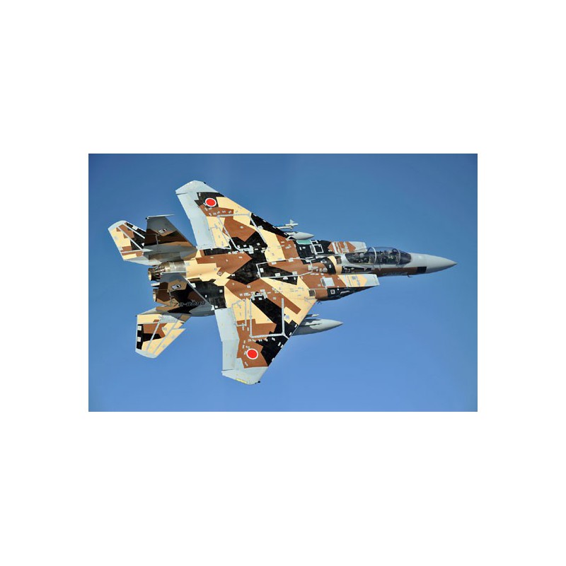 Kunststoffebene Modell 1/72F-15dj Eagle | Scientific-MHD