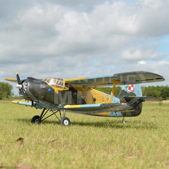 RC-Modellflugzeug Antonov...