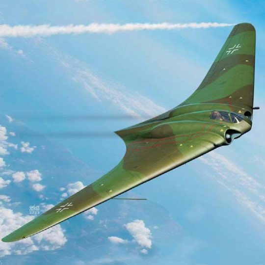 Horten Ho 229 "Wunderwaffe" Plastikmodell eines Flugzeugs 1:72 Horten Ho 229 "Wunderwaffe"...