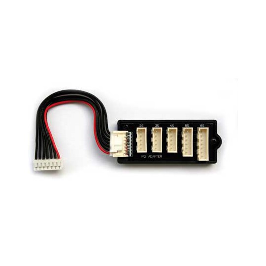 Radio -kontrolliertes Ladegerät für Radio -kontrollierte Adapter polyqquest | Scientific-MHD