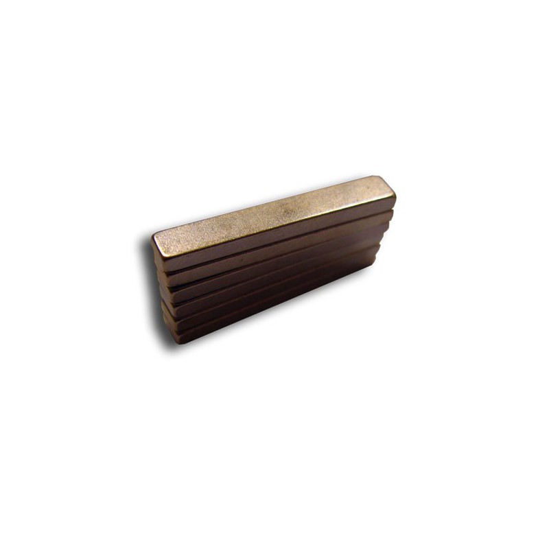 Rechteckige Magnete eingebetteter Zubehör 25x4mm (6 Stcs) | Scientific-MHD