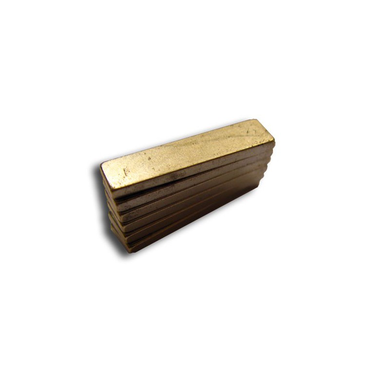 Rechteckige Magnete eingebetteter Zubehör 25x6mm (6 Stcs) | Scientific-MHD