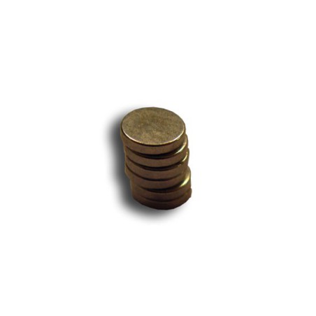 Eingebetteter Accessoire -Rundmagnet -Durchmesser. 5 mm (6pcs) | Scientific-MHD Eingebetteter Accessoire -Rundmagnet -Durchmesser. 5 mm (6pcs) | Scientific-MHD