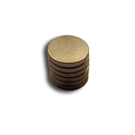 Eingebetteter Accessoire -Rundmagnet -Durchmesser. 10 mm (6pcs) | Scientific-MHD Eingebetteter Accessoire -Rundmagnet -Durchmesser. 10 mm (6pcs) | Scientific-MHD