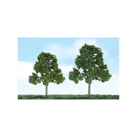 Baumbaum mit Laubblättern 75 bis 87 mm - Loch | Scientific-MHD