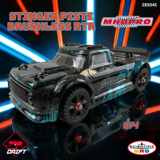 Elektro-Rennwagen STINGER...