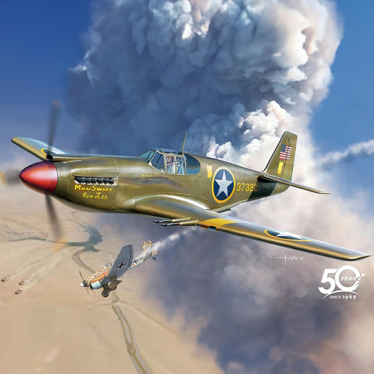 Plastikmodell des Flugzeugs...