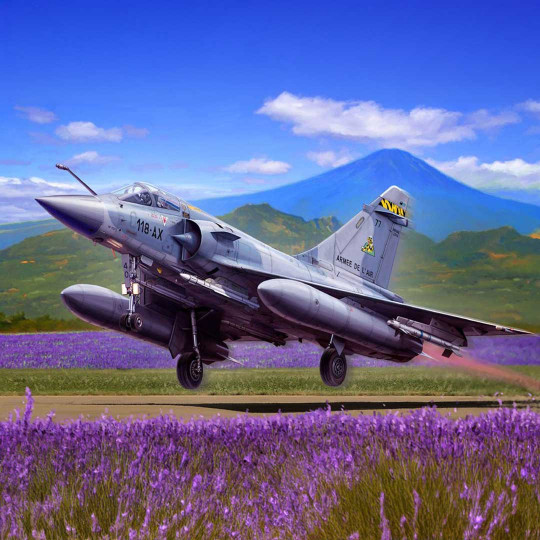 Modell des Mirage 2000C...