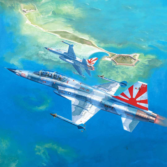 Plastikmodellflugzeug TIGER...