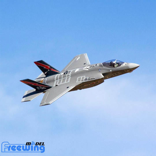 Elektro-RC-Flugzeug F-35...
