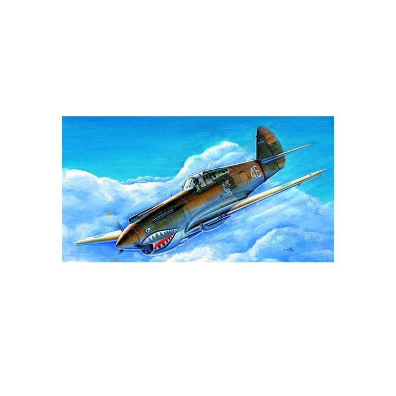 P-40b/c "Warhawk" Plastikflugzeugmodell | Scientific-MHD