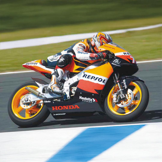 Plastikmodell eines Motorrads Repsol Honda RS250RW "2007 WGP250" 1:12 Plastikmodell eines...