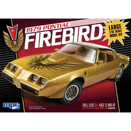 Pontiac Firebird 1979 1/16 Plastikautoabdeckung Pontiac Firebird 1979 1/16...