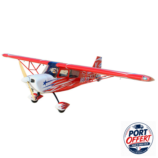 Flugzeugmodell Champion...