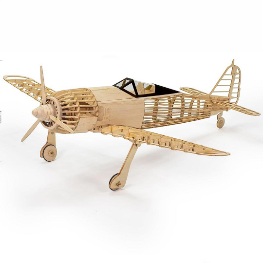Modell des Holzflugzeugs...