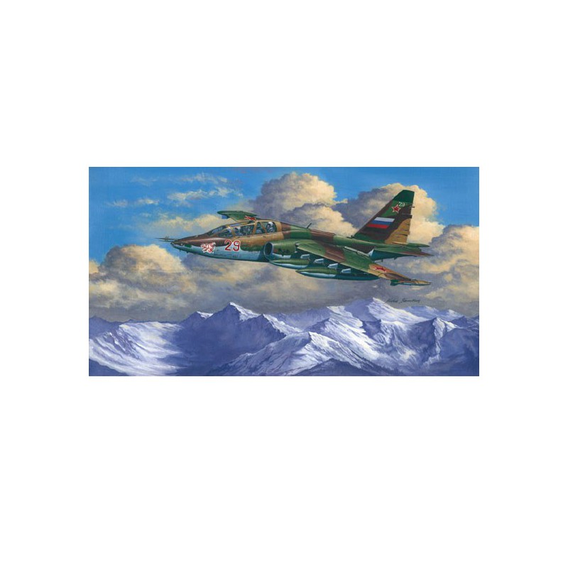 SU-25UB Frogfoot B Plastikflugzeugmodell | Scientific-MHD