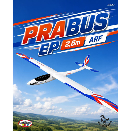 Segelflugzeug PRABUS EP...