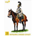 Schwedische Kavallerie -Figur Napoleon | Scientific-MHD Schwedische Kavallerie -Figur Napoleon | Scientific-MHD