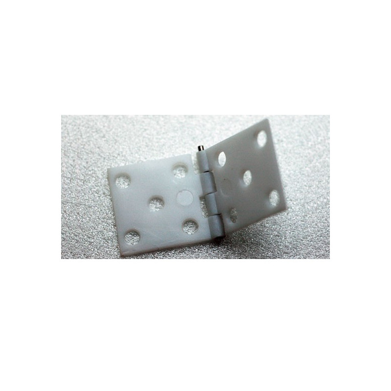 Eingebettetes Zubehör 34x16mm -Baugruppen (100 Teile) | Scientific-MHD