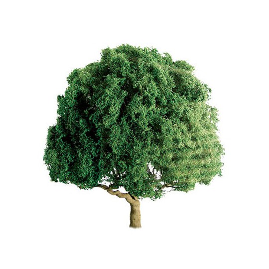 75 mm Eiche - Loch Lade | Scientific-MHD