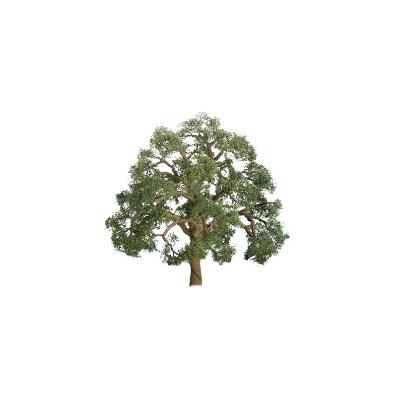 75 mm Eiche - Loch Lade | Scientific-MHD