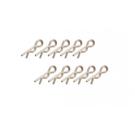 Radio -kontrollierte Autozubehör kleine Modellkörperclips (10 PCs) | Scientific-MHD