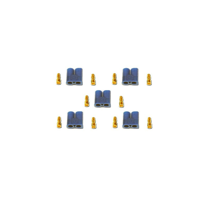 EC3 Männlich EC3 MALE (5 PCs) | Scientific-MHD