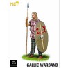 Gallische 1/32 Kriegsbandfigur | Scientific-MHD Gallische 1/32 Kriegsbandfigur | Scientific-MHD