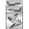 F-14A Kunststoffebene Modell VF-2 1/72 | Scientific-MHD