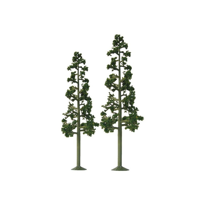 Baumbaum 137 bis 150 mm - Mann | Scientific-MHD