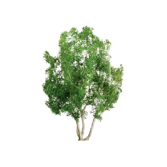 Gommiers 75mm Kelle ho | Scientific-MHD