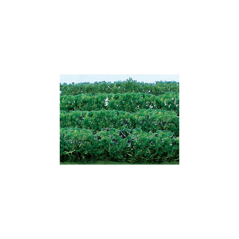 Blumenpläne Hecke von grünen Pflanzen 125x9x15mm - Loch | Scientific-MHD