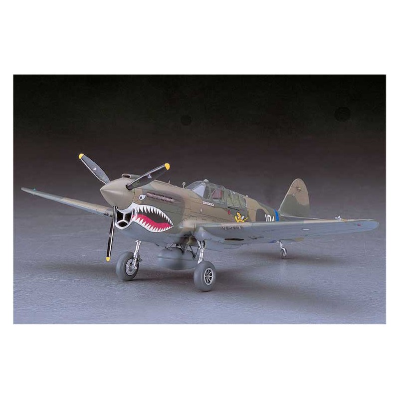 P40 E Warhawk Plastikflugzeugmodell (JT86) 1/48 | Scientific-MHD