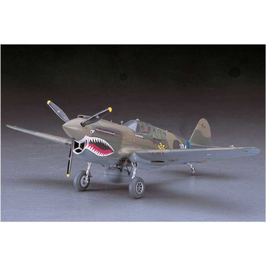 P40 E Warhawk Plastikflugzeugmodell (JT86) 1/48 P40 E Warhawk Plastikflugzeugmodell (JT86) 1/48 | Scientific-MHD