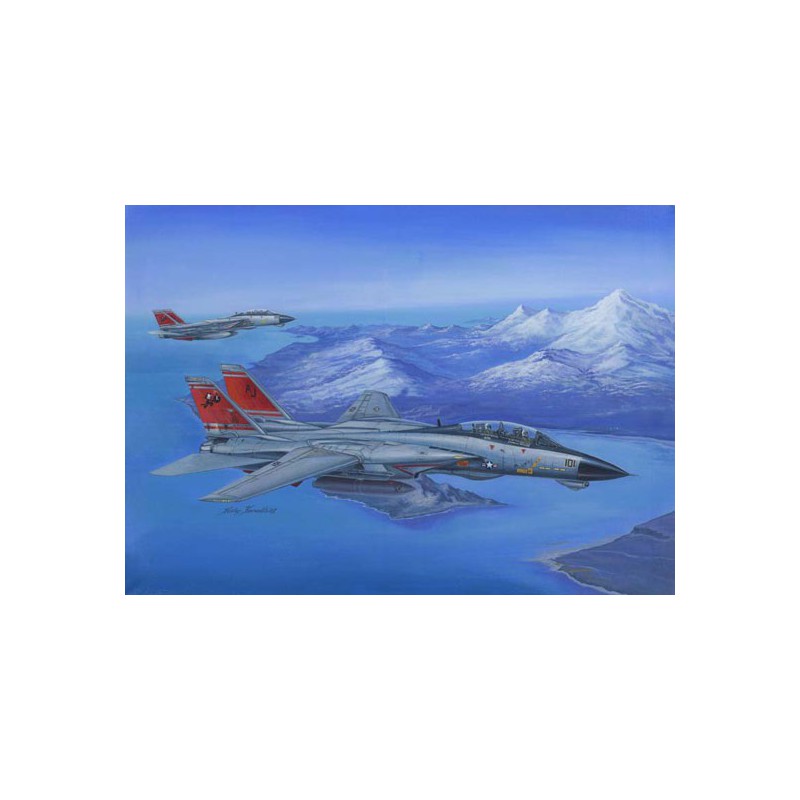 F-14d Super Tomcat 1/48 Ebenenflugzeugmodell | Scientific-MHD