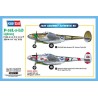 P-38L-5-LO Lightning 1/48 Plastikebene Modell | Scientific-MHD
