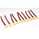 Ladegerät gegen Anschuldigungen für Radiocheted Device 10 Kabel 10 cm + XT60 Weibchen | Scientific-MHD Ladegerät gegen Anschuldigungen für Radiocheted Device 10 Kabel 10 cm + XT60 Weibchen | Scientific-MHD