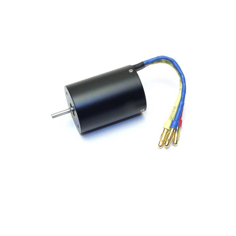 BL -Gewinner Motor Radio gesteuert | Scientific-MHD