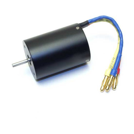 BL -Gewinner Motor Radio gesteuert | Scientific-MHD