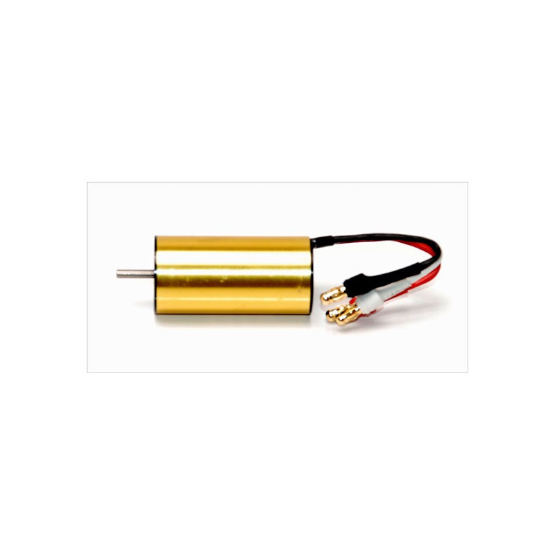 BL Turbine von Radio Electric Motor Motor 64 mm | Scientific-MHD