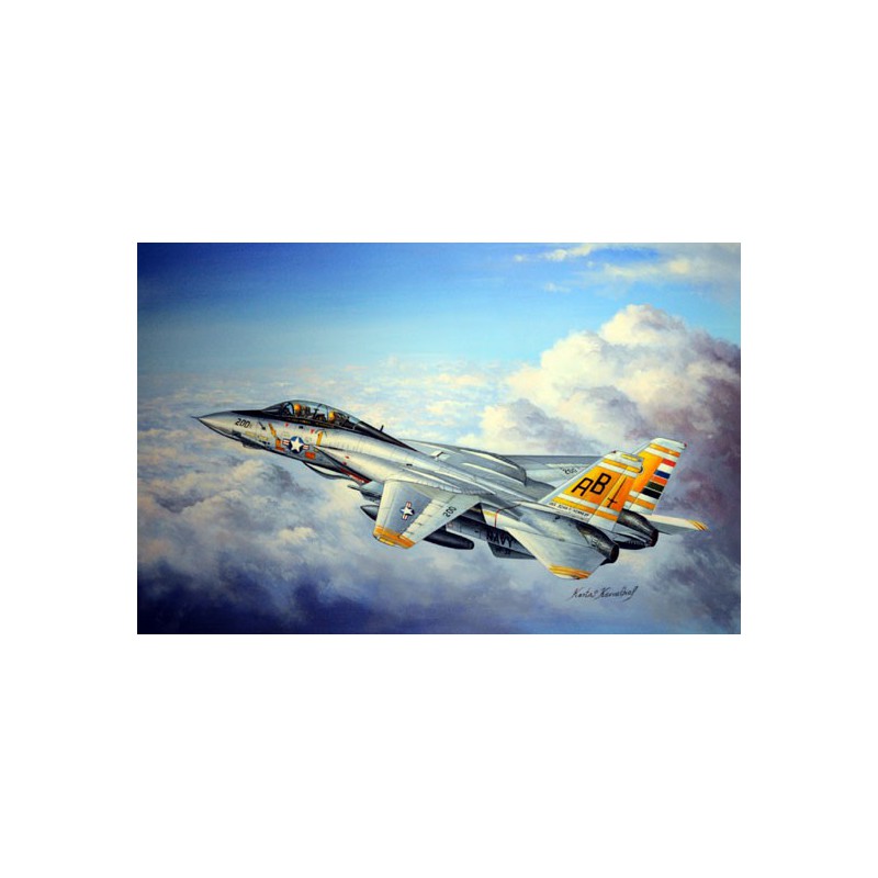 F-14A Kunststoffebene Modell Tomcat 1/48 | Scientific-MHD