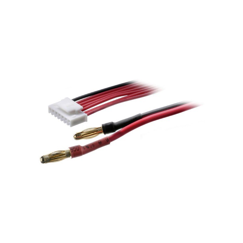 Ladegerät gegen Anschuldigungen gegen Funk -kontrollierte Geräte Multi -Scale PQ Balance PHA | Scientific-MHD